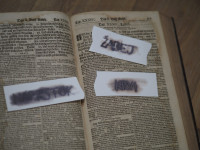 /album/noc-s-andersenom-slizolabacik/p1010002-stredne-jpg1/